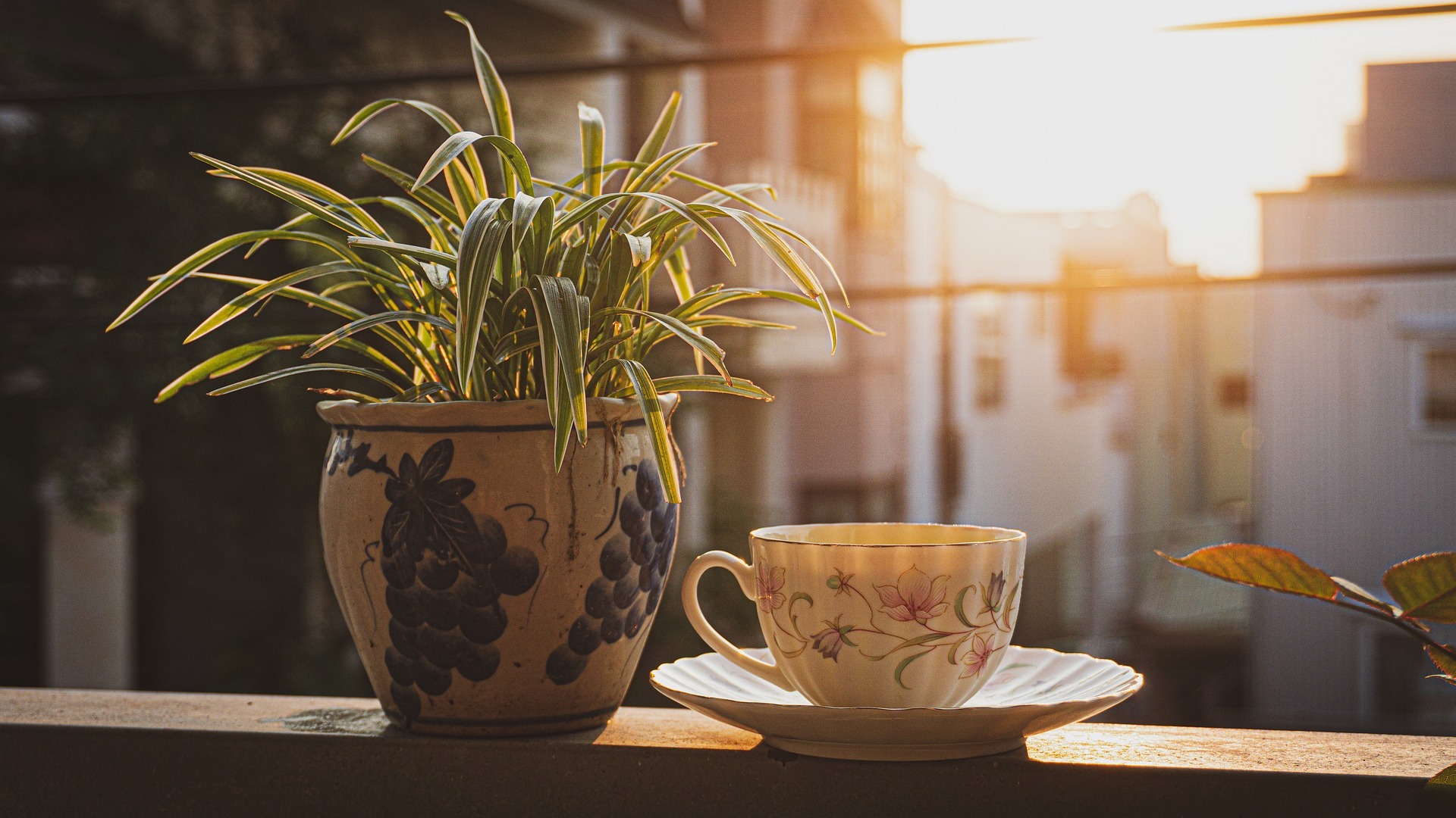 5 Evening Habits That Make Falling Asleep Easier