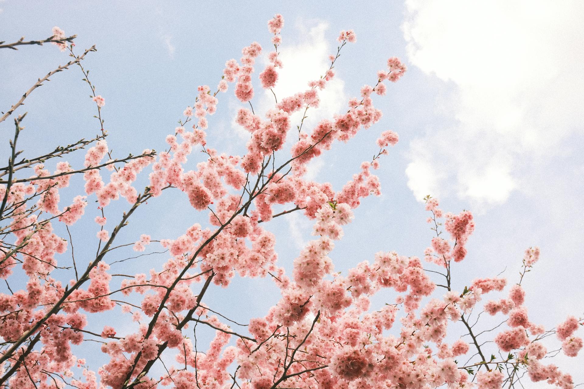 Gentle Self-Talk for Everyday Emotional Regulation