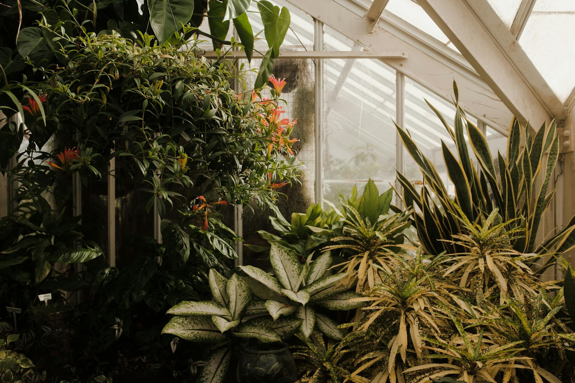 Creating a Cozy Space for Daily Calm