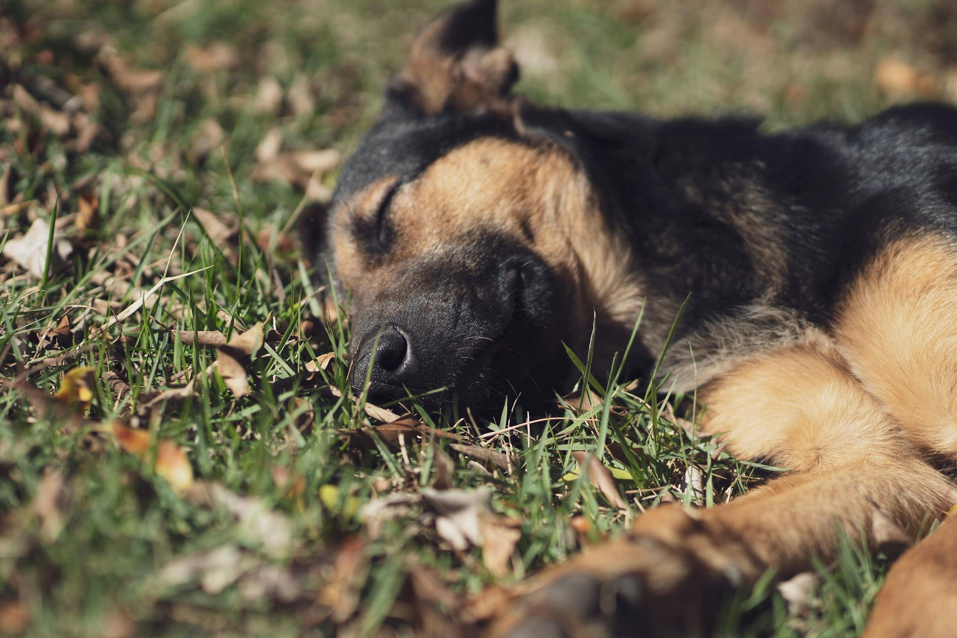 Gentle Practices for Grounding After a Stressful Day