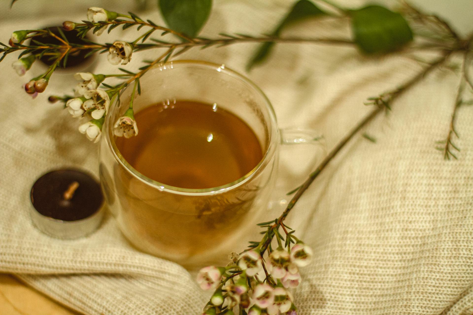 Signs Your Nervous System Is Starting to Regulate