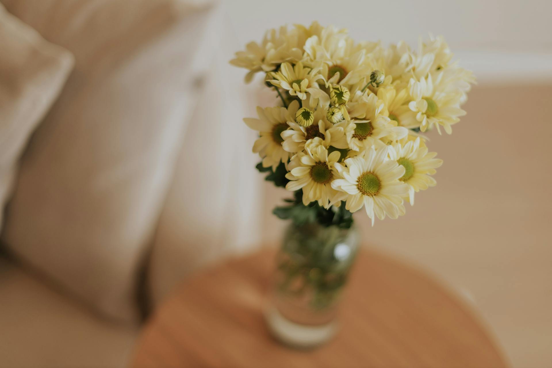 What Safety Feels Like in the Body