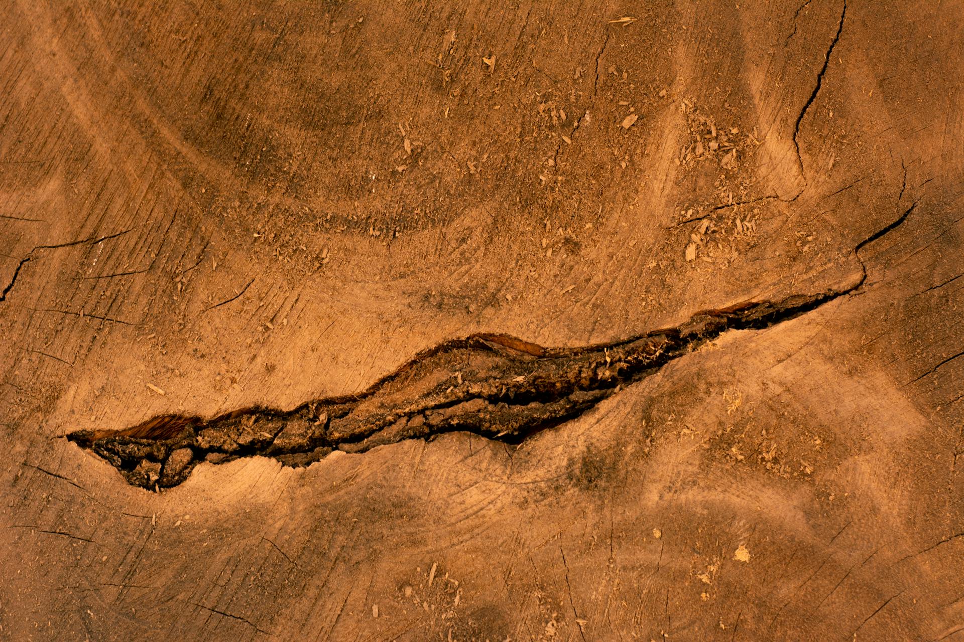 Close-up of cracked desert ground, symbolizing subtle internal dysregulation beneath a calm surface.