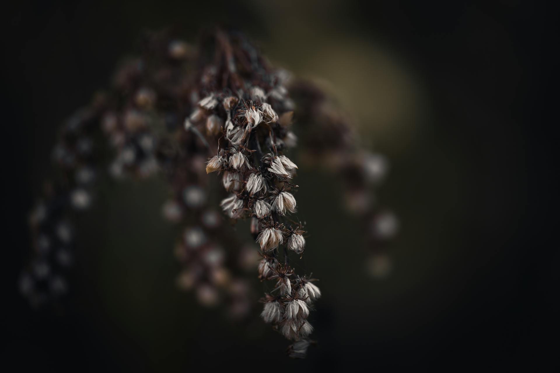 Burnout as Nervous System Exhaustion